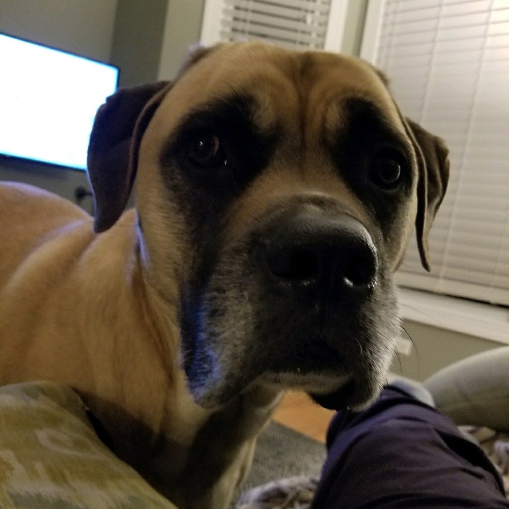 Meet your Posher, Nellen